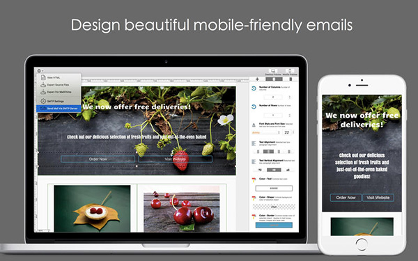 Dragon Responsive Email Designer