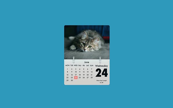 猫咪日历