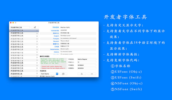 开发者字体工具