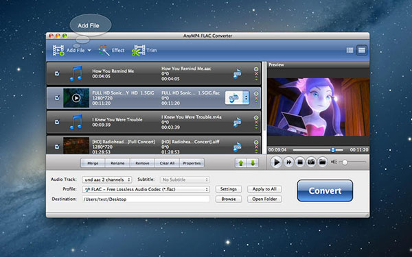 AnyMP4 FLAC Converter