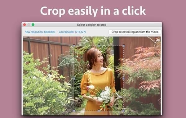 Video Cropper Pro