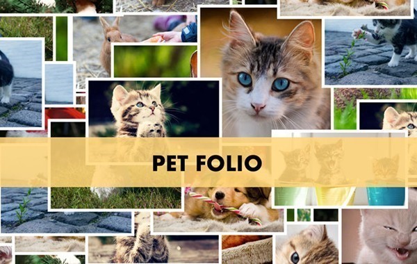 Pet Folio